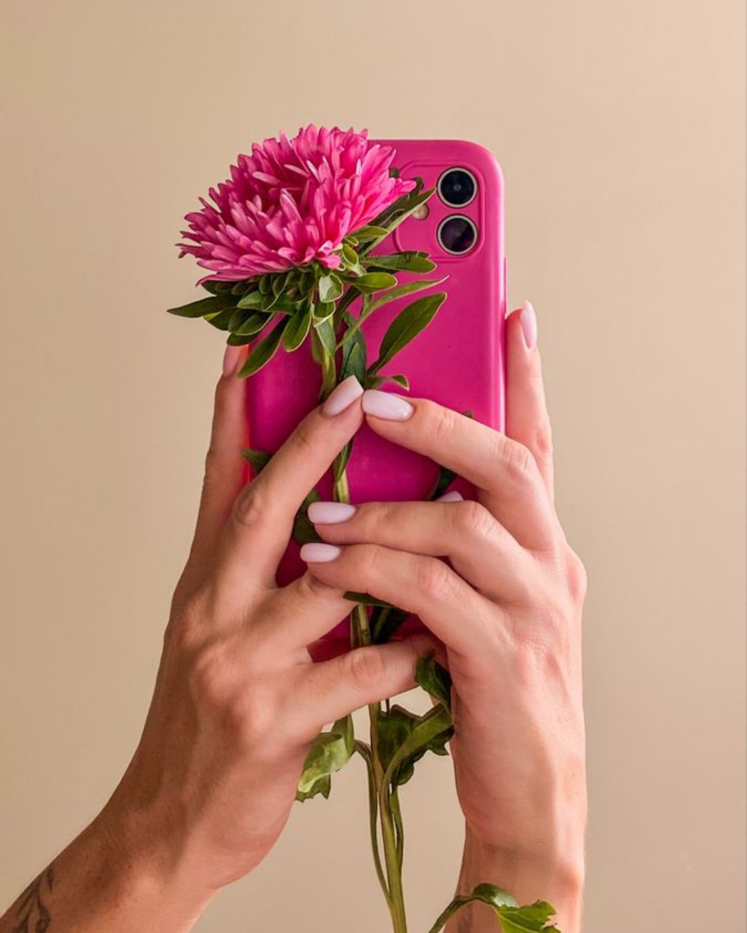 staying true to yourself blog post featured image of a pink phone held in a mirror with a flower